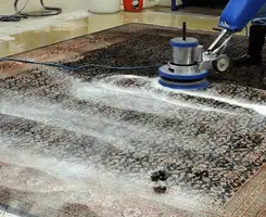 Professional rug cleaning with a rotary floor machine and shampoo foam, deep-cleaning an area rug, in Memphis, TN.