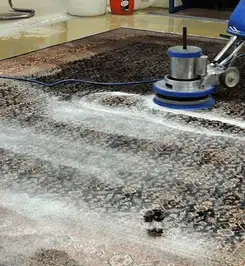 Professional rug cleaning with a rotary floor machine and shampoo foam, deep-cleaning an area rug Memphis, TN.